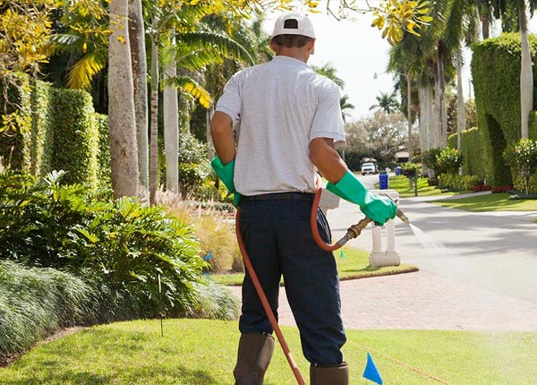 About Narrowsburg NY Pest Control